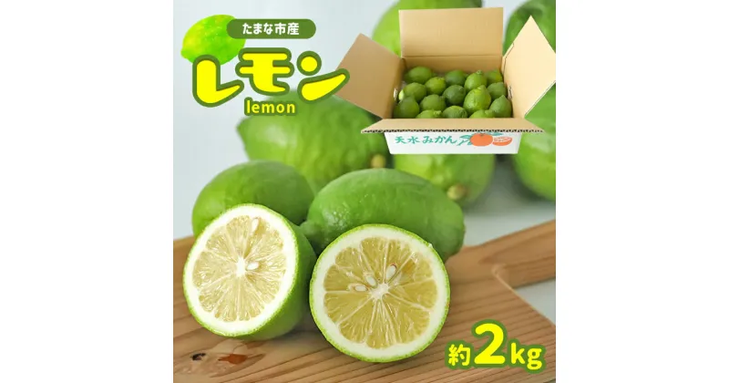 【ふるさと納税】 国産レモン 2kg | レモン 柑橘 柑橘類 国産 塩レモン レモネード レモンサワー はちみつレモン ビタミン レモンティー 生産者直送 産地直送 玉名市 玉名 熊本 送料無料