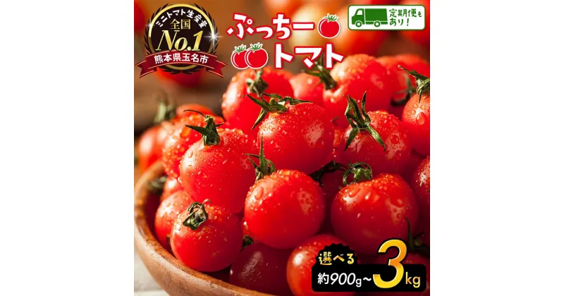 【ふるさと納税】 ぷっちートマト ミニトマト 900g or 2kg or 3kg (1回 or 3回定期便） | 野菜 やさい ミニトマト ミニ とまと トマト リコピン 熊本県 玉名市