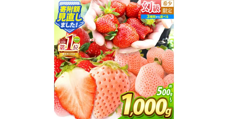 【ふるさと納税】イチゴ 生産量 西 日本一 !! 厳選農家直送 選べる 3種 いちご 500g or 1000g | フルーツ 果物 苺 いちご 白 いちご 淡雪 高級 ギフト 贈答 熊本県 玉名市 熊本 玉名 たまな tamana 期間限定 果物 フルーツ 冬 旬 産地直送 玉名市オススメ返礼品 送料無料