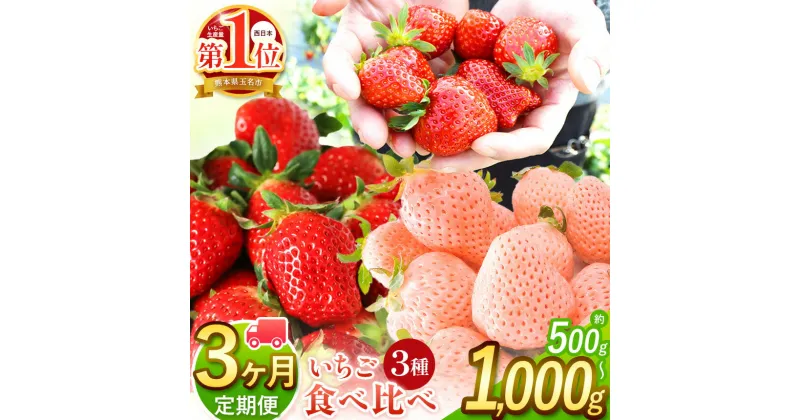 【ふるさと納税】【 定期便 3回 】 イチゴ 生産量 西 日本一 玉名市 !! 3種 いちご 500g or 1000g | フルーツ 果物 苺 いちご 白 いちご 淡雪 熊本県 玉名市 熊本 玉名 たまな tamana 期間限定 果物 フルーツ 冬 旬 産地直送 玉名市オススメ返礼品 送料無料