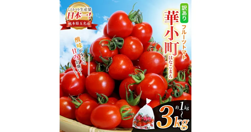 【ふるさと納税】訳あり フルーツトマト 華小町 はなこまち 選べる 1kg / 2kg / 3kg | 野菜 やさい トマト ミニトマト プチトマト ミディトマト 中玉 小玉 中粒 小粒 大小混合 玉名 熊本 とまと