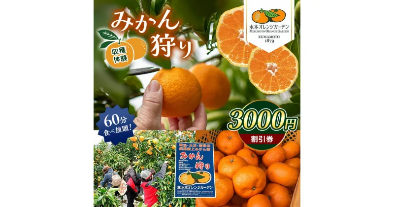 【ふるさと納税】みかん狩り 収穫体験 （ みかん60分食べ放題 ） 3000円割引券 | みかん狩り 食べ放題 割引券 チケット イベント 極早 生早生 金峰 デコポン せとか バーべキュー 熊本県 玉名市