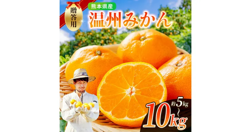 【ふるさと納税】 贈答用 ノナカ柑橘農園 温州みかん 選べる 5kg or 10kg ｜ 果物 くだもの フルーツ 柑橘 柑橘類 みかん 温州 贈答用 熊本県 玉名市