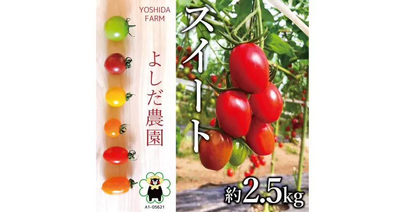 【ふるさと納税】『 よしだ農園 』 ミニトマト ( スイート ) 約2.5kg | 野菜 やさい トマト とまと サラダ 熊本県 玉名市 産地直送 生産者直送 送料無料