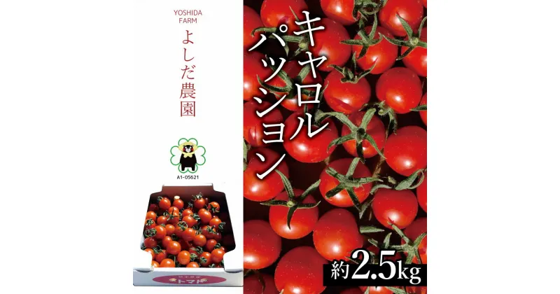 【ふるさと納税】ミニトマト 『 キャロルパッション 』 約2.5kg よしだ農園 | 野菜 やさい トマト とまと 完熟 熊本県 玉名市 産地直送 生産者直送 送料無料