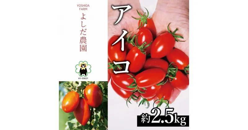 【ふるさと納税】ミニトマト 『 アイコ （ 赤色 ） 』 約2.5kg よしだ農園 | 野菜 やさい トマト とまと 完熟 熊本県 玉名市 産地直送 生産者直送 送料無料