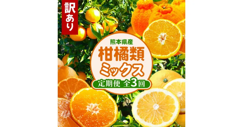 【ふるさと納税】 【 定期便 3回 】 訳あり 柑橘類 ミックス 定期便 みかん 不知火 河内晩柑 後藤農園 | ミカン 果物 フルーツ 大容量 家庭用 キズあり 大小混合 定期 産地直送 熊本 生産者直送 旬 送料無料 熊本県 玉名市