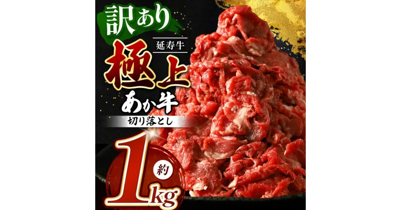 【ふるさと納税】熊本県産 あか牛 「-延寿牛-」 切り落とし 約1kg | 肉 にく お肉 おにく 牛 牛肉 延寿牛 切り落し 切落し 熊本 送料無料 玉名 熊本