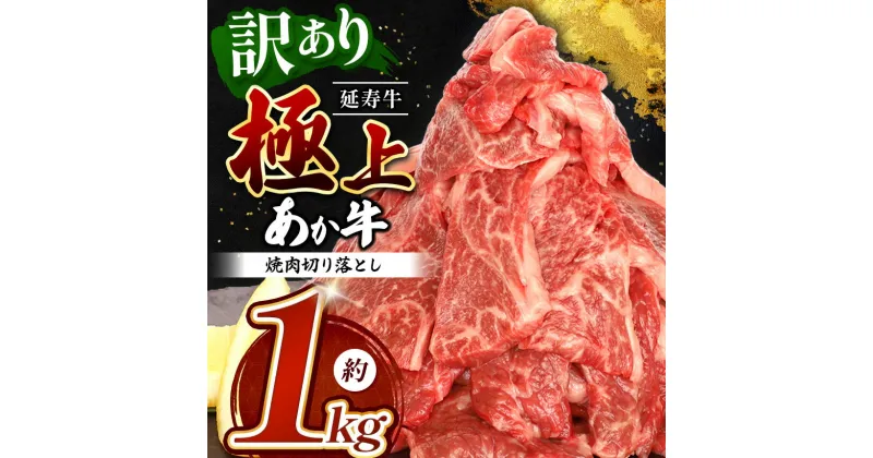 【ふるさと納税】熊本県産 あか牛 「-延寿牛-」 焼肉 切り落とし 約1kg | 肉 にく お肉 おにく 牛 牛肉 延寿牛 焼き肉 切落とし 切落し 熊本 送料無料 玉名 熊本