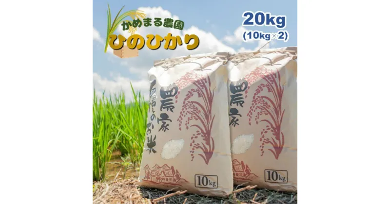 【ふるさと納税】米 20キロ 20kg ヒノヒカリ かめまる農園 ひのひかり 生産者直送 玉名 熊本 送料無料