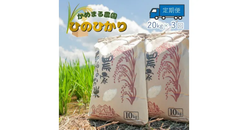 【ふるさと納税】【定期便3回】 かめまる農園の「ひのひかり」 20kg × 3回 | 米 単一原料米 玉名 熊本