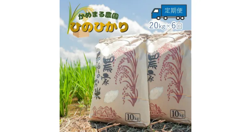 【ふるさと納税】【定期便6回】かめまる農園の「ひのひかり」20kg×6回 | 米 単一原料米 玉名 熊本