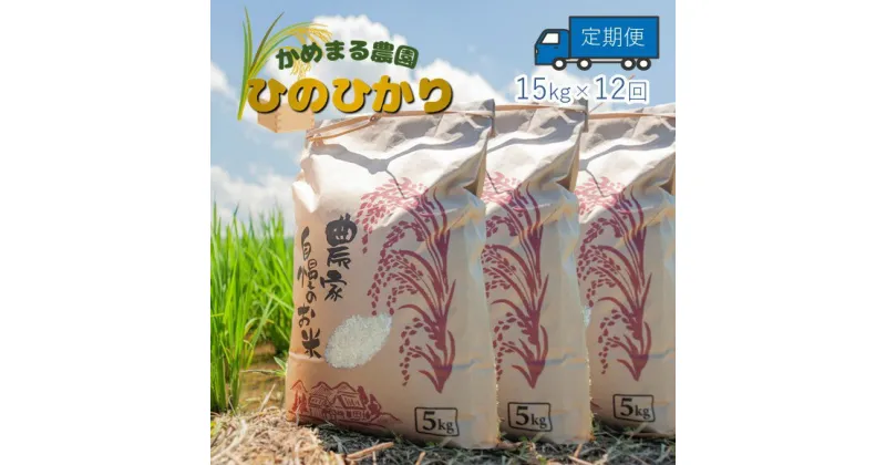 【ふるさと納税】【定期便12回】かめまる農園の「ひのひかり」15kg×12回 | 米 単一原料米 玉名 熊本