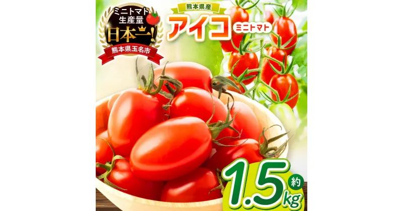 【ふるさと納税】ミニトマト 生産量 日本一 玉名市 !！アイコトマト 約 1.5kg ｜ 野菜 やさい トマト とまと アイコ 人気 熊本県 玉名市 生産者直送 産地直送