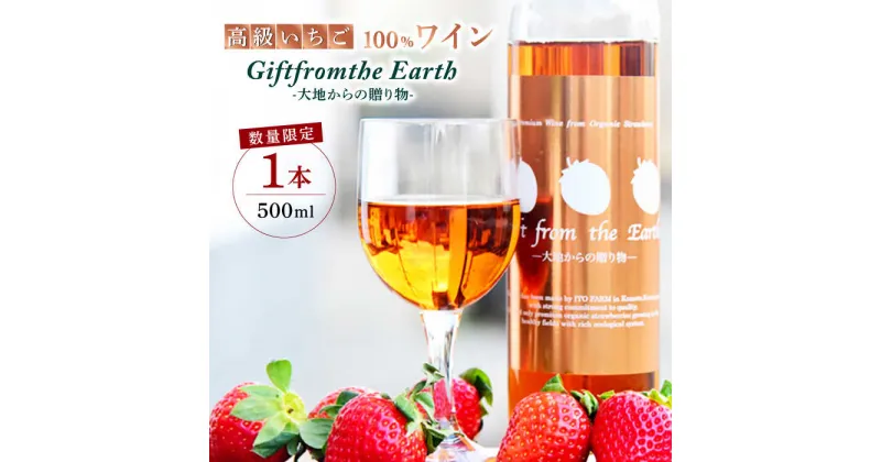 【ふるさと納税】【数量限定】高級 いちご 100％ワイン Giftfromthe Earth -大地からの贈り物- オーガニック【伊藤農園】[ZBB004]