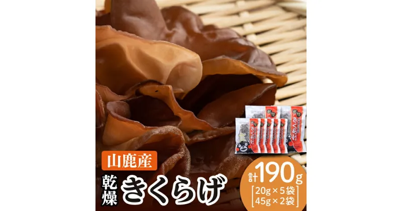 【ふるさと納税】乾燥 きくらげ セット 45g×2袋、20g×5袋【株式会社 地の塩社】[ZAN002]