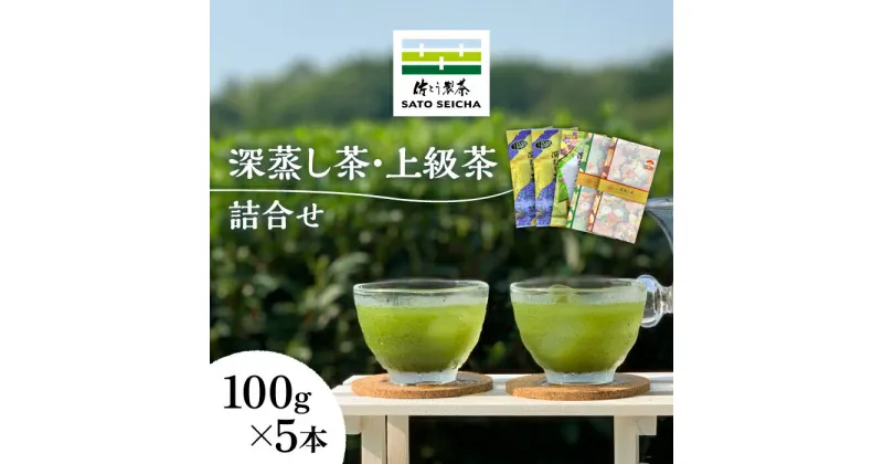 【ふるさと納税】【数量限定】深蒸し茶 上級茶 詰合せ 100g×5本セット 【有限会社 佐とう製茶】[ZAS001]