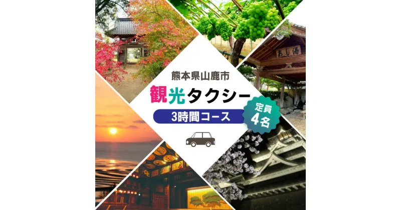 【ふるさと納税】山鹿市 観光タクシー 3時間コース【肥後第一交通 株式会社 】[ZBJ002] 貸切フリー利用券 チケット 旅行 熊本県 旅行