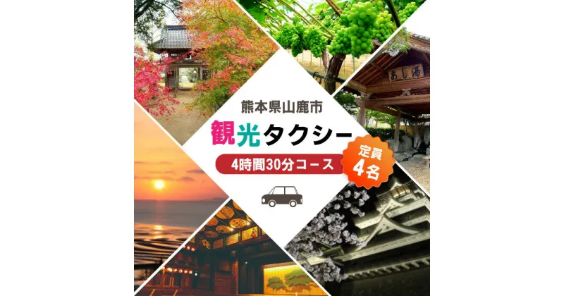 【ふるさと納税】山鹿市 観光タクシー 4時間30分コース【肥後第一交通 株式会社 】[ZBJ003] 貸切フリー利用券 チケット 旅行 熊本県