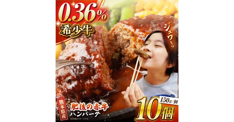 【ふるさと納税】【数量限定】肥後の赤牛 ハンバーグ 約150g×10個【山鹿食品企画】[ZBO002]