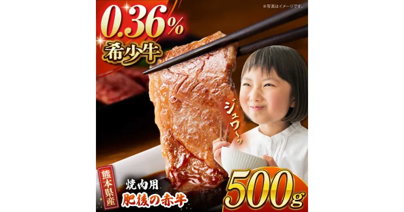 【ふるさと納税】【数量限定】肥後の赤牛 焼肉 用約500g【山鹿食品企画】[ZBO003]