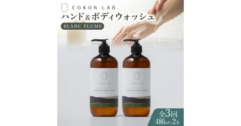 【ふるさと納税】【全3回定期便】COKONLAB ハンド＆ボディウォッシュ ブランプリュム480ml×2本【株式会社 あつまるホールディングス NSP山鹿工場】[ZBR021] 化粧品 コスメ 美容 国産 ボディケア ハンドケア