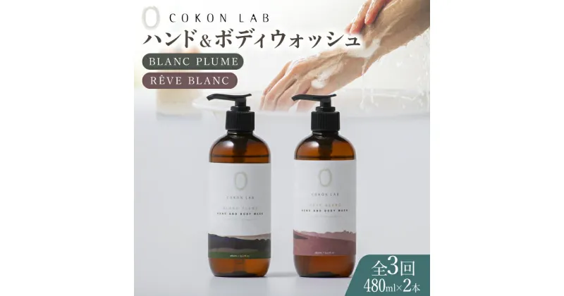 【ふるさと納税】【全3回定期便】COKONLAB ハンド＆ボディウォッシュ BR480ml 2本セット【株式会社 あつまるホールディングス NSP山鹿工場】[ZBR023] 化粧品 コスメ 美容 国産 ボディケア ハンドケア