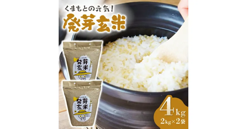 【ふるさと納税】【金賞受賞米使用】くまもとの元気！発芽玄米 2kg×2袋【株式会社 れんげ・カンパニー】[ZAX003] お米 米 玄米 国産 ご飯 酵素 食物繊維 熊本県産 真空パック