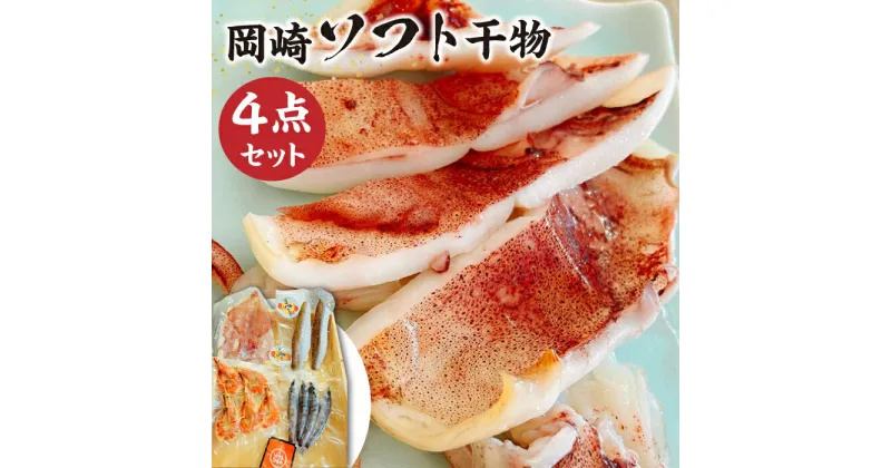 【ふるさと納税】岡崎鮮魚店のソフト干物4点セット 【合資会社 岡崎商店(岡崎鮮魚店)】[ZDG001]