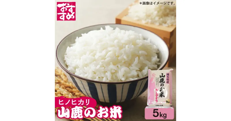 【ふるさと納税】山鹿のお米 ヒノヒカリ 5kg【有限会社 あそしな米穀】[ZBI015]