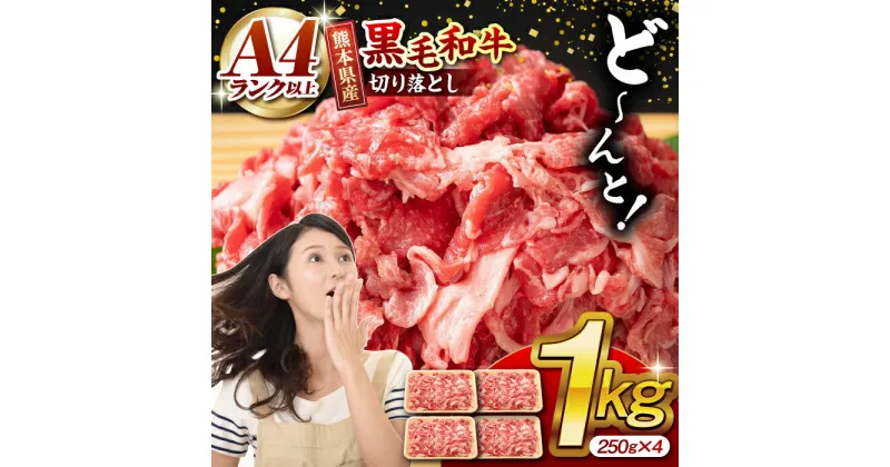 【ふるさと納税】熊本県産 黒毛和牛 切り落とし 計約1kg (約250g×4P)【有限会社九州食肉産業】[ZDQ019]