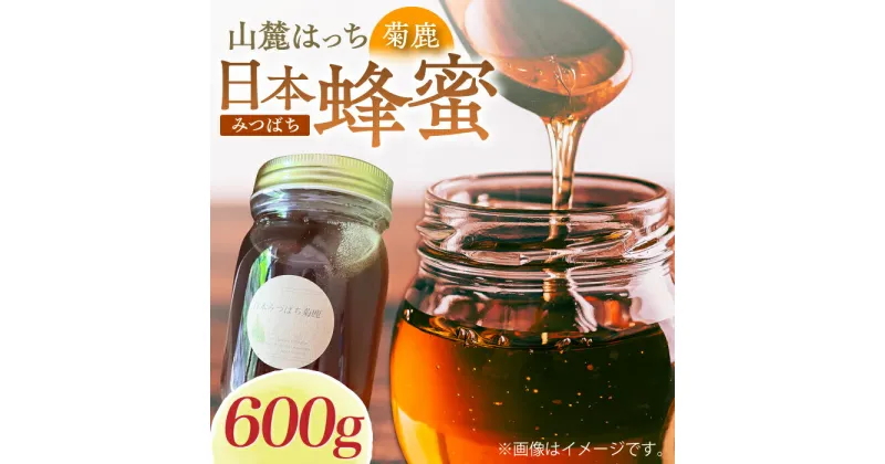 【ふるさと納税】日本みつばち菊鹿約600g【山麓はっち】[ZBM011] 蜂蜜 はちみつ ハチミツ 熊本県 特産品