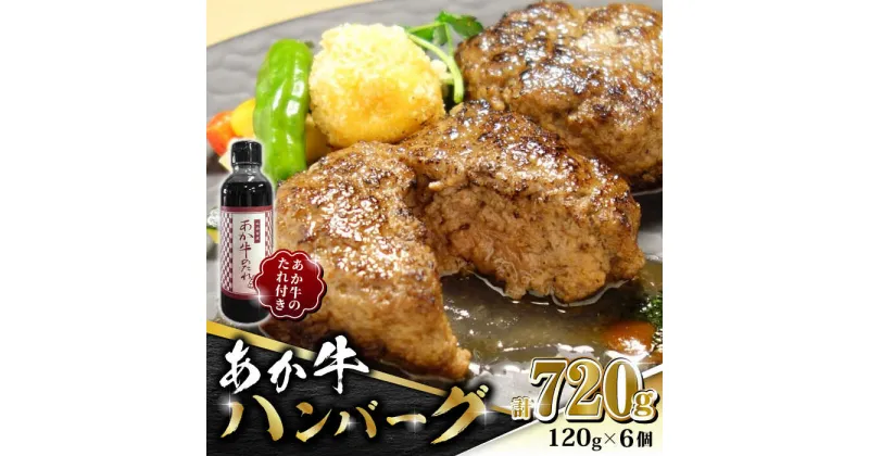 【ふるさと納税】【数量限定】あか牛 100％ハンバーグ セット 120g×6個【有限会社 三協畜産】[ZEB003]