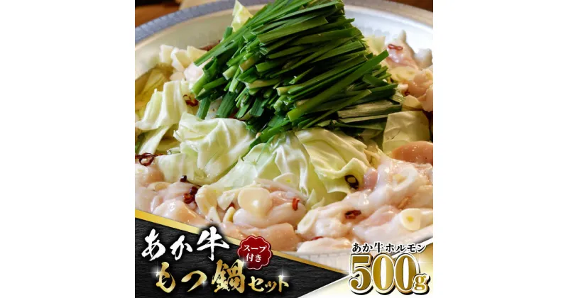 【ふるさと納税】【数量限定】熊本県産 あか牛 もつ鍋セット 500g【有限会社 三協畜産】[ZEB024]