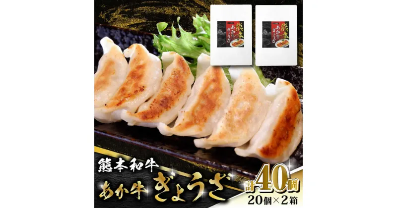 【ふるさと納税】【数量限定】熊本和牛 あか牛ぎょうざ 20個×2箱【有限会社 三協畜産】[ZEB043]