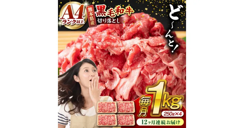 【ふるさと納税】【12回定期便】熊本県産 黒毛和牛 切り落とし 計約1kg (約250g×4P)【有限会社九州食肉産業】[ZDQ034]