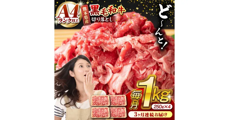 【ふるさと納税】【3回定期便】熊本県産 黒毛和牛 切り落とし 計約1kg (約250g×4P)【有限会社九州食肉産業】[ZDQ032]