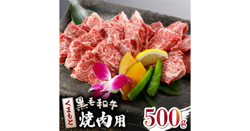 【ふるさと納税】【数量限定】くまもと 黒毛和牛 焼肉用 500g【山鹿食品企画】[ZBO039]