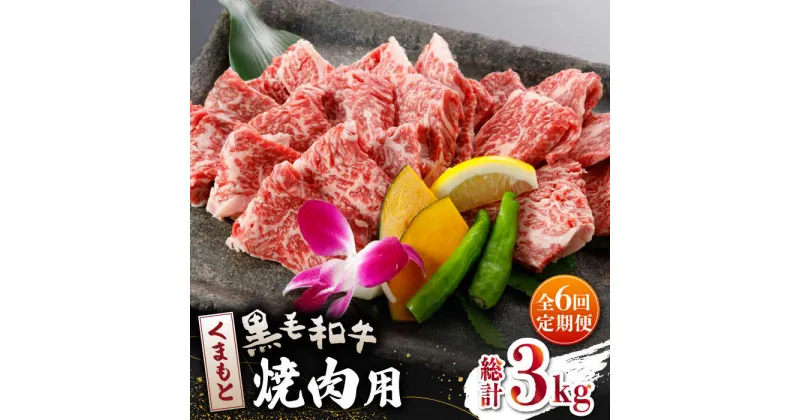 【ふるさと納税】【数量限定】【全6回定期便】くまもと 黒毛和牛 焼肉用 500g【山鹿食品企画】[ZBO041]