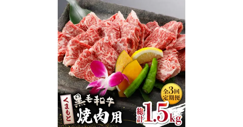 【ふるさと納税】【数量限定】【全3回定期便】くまもと 黒毛和牛 焼肉用 500g【山鹿食品企画】[ZBO040]