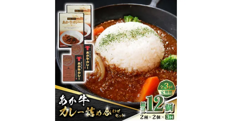 【ふるさと納税】【数量限定】【全3回定期便】あか牛 カレー 詰め合わせ セット【有限会社 三協畜産】[ZEB063]