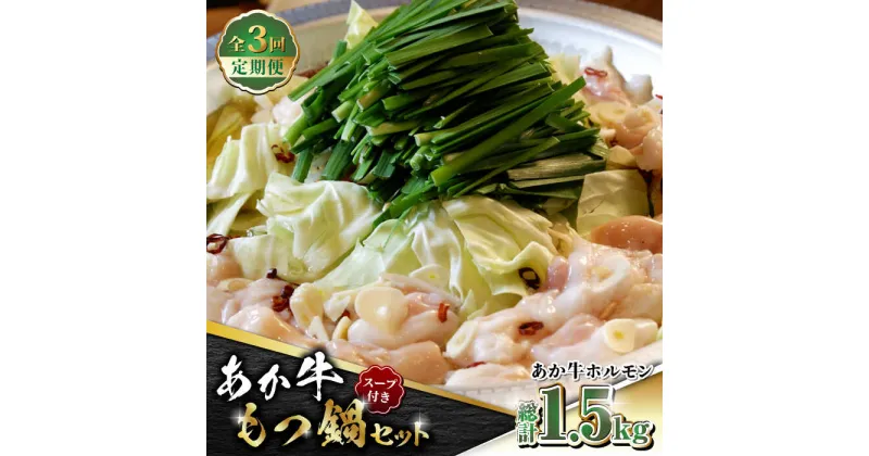 【ふるさと納税】【数量限定】【全3回定期便】熊本県産 あか牛 もつ鍋セット 500g【有限会社 三協畜産】[ZEB054]