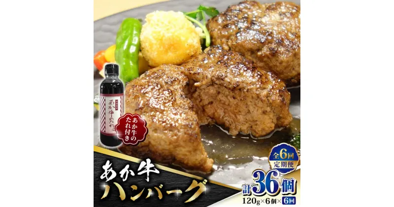 【ふるさと納税】【数量限定】【全6回定期便】あか牛 100％ハンバーグ セット 120g×6個【有限会社 三協畜産】[ZEB066]