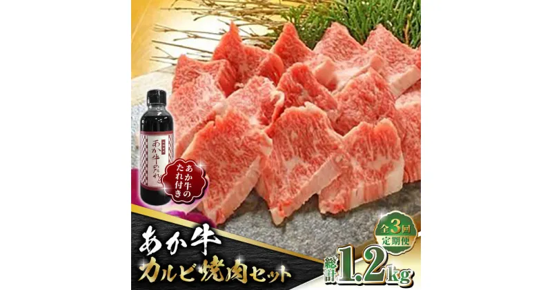 【ふるさと納税】【数量限定】【全3回定期便】あか牛 カルビ 焼肉セット 400g あか牛のたれ付き【有限会社 三協畜産】[ZEB051]