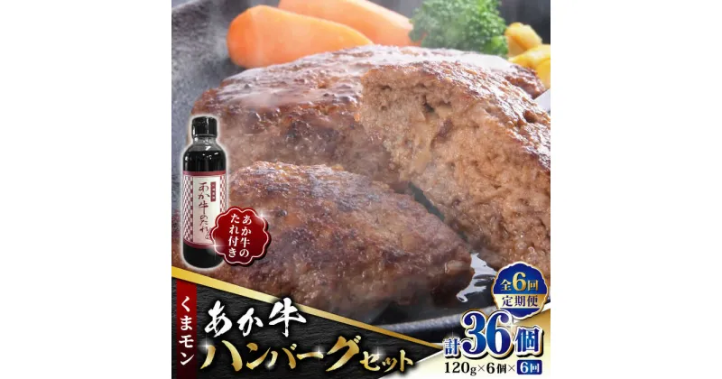 【ふるさと納税】【数量限定】【全6回定期便】くまモン あか牛 ハンバーグ セット　120g×6個【有限会社 三協畜産】[ZEB073]