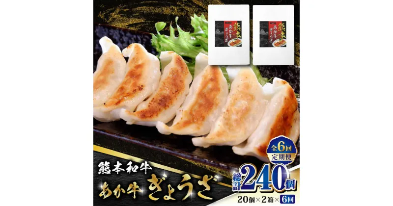 【ふるさと納税】【数量限定】【全6回定期便】熊本和牛 あか牛ぎょうざ 20個×2箱【有限会社 三協畜産】[ZEB077]