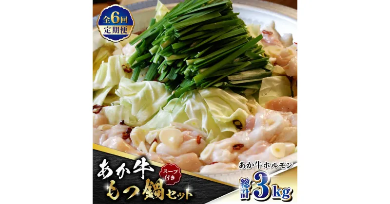 【ふるさと納税】【数量限定】【全6回定期便】熊本県産 あか牛 もつ鍋セット 500g【有限会社 三協畜産】[ZEB071]