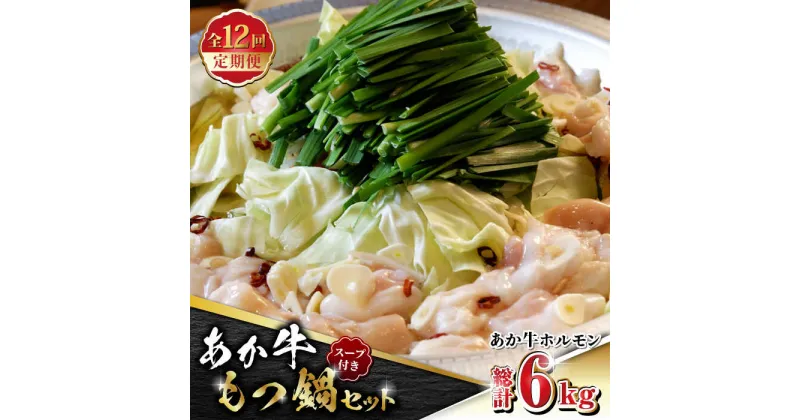 【ふるさと納税】【数量限定】【全12回定期便】熊本県産 あか牛 もつ鍋セット 500g【有限会社 三協畜産】[ZEB088]