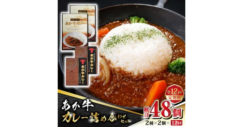 【ふるさと納税】【数量限定】【全12回定期便】あか牛 カレー 詰め合わせ セット【有限会社 三協畜産】[ZEB095]