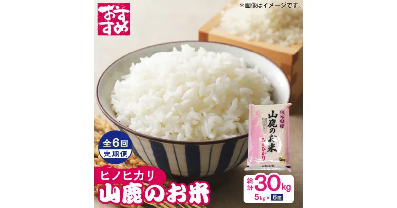 【ふるさと納税】【6回定期便】山鹿のお米 ヒノヒカリ 5kg【有限会社 あそしな米穀】[ZBI025]